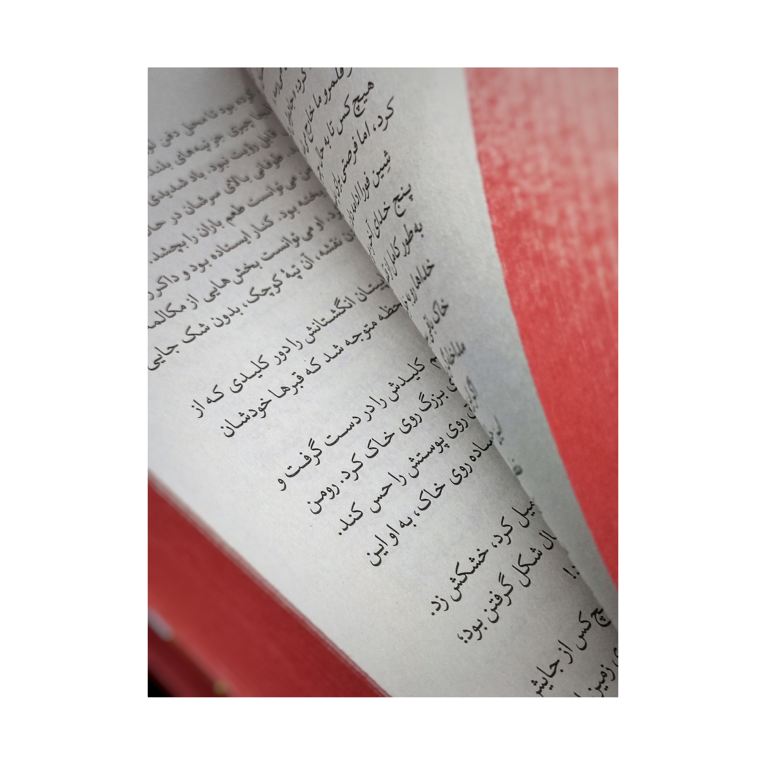 کتاب عهد بی رحمانه (جلد سخت) اثر ربکا راس انتشارات آذربیان - Image 3