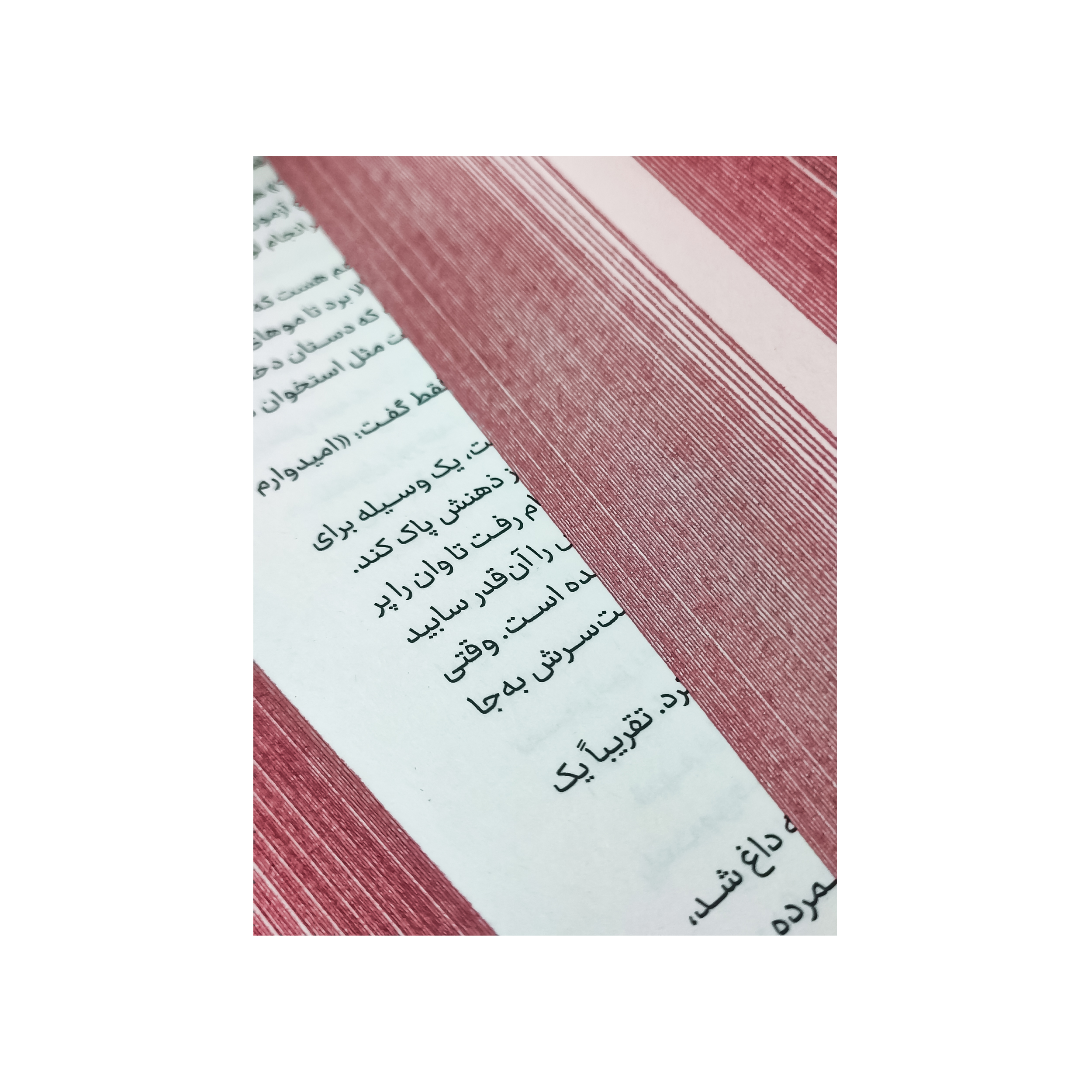 کتاب فنتزما (جلد سخت) اثر کیلی اسمیت انتشارات آراستگان - تصویر 6